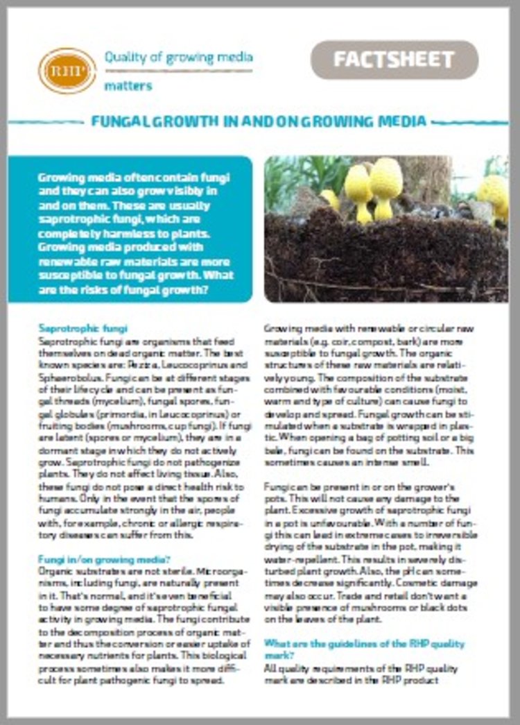 RHP factsheet fungal growth in and on growing media