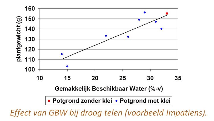 RHP effect verlaging GBW droog telen Impatiens